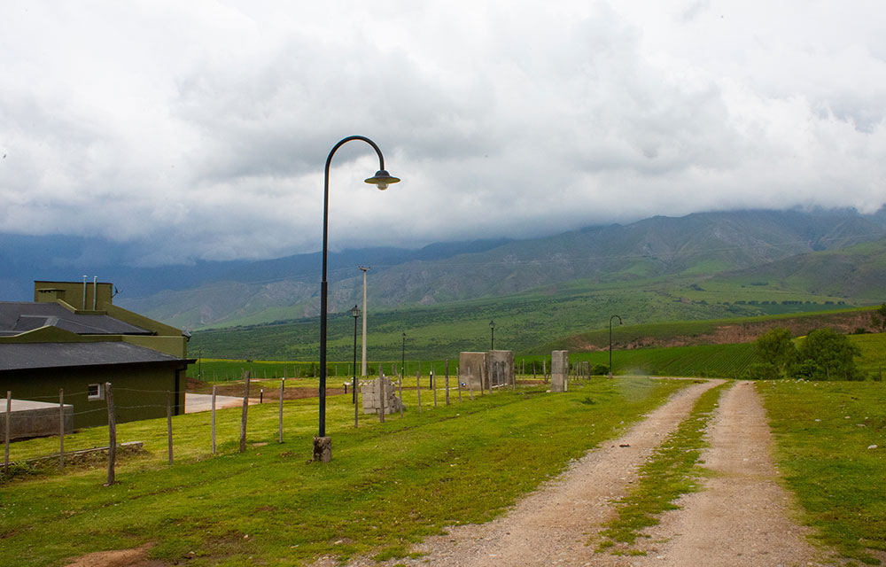 mobile_004