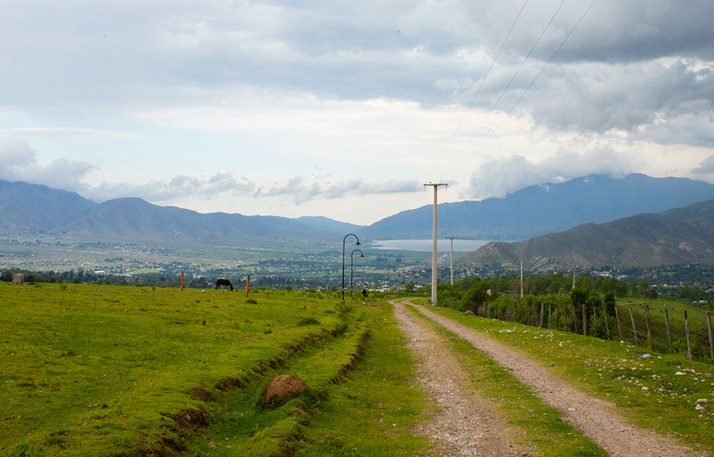 mobile_008